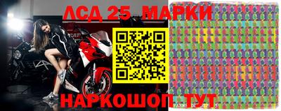 индика Новодвинск