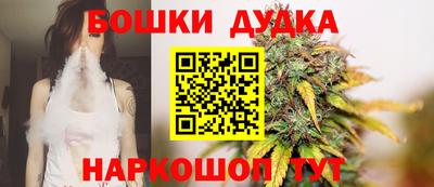индика Новодвинск