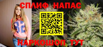 индика Новодвинск