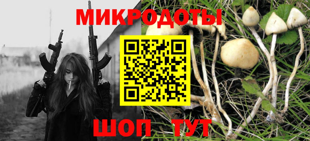 Галлюциногенные грибы мицелий  Вход с VPN  закладки  Сокол  Псилоцибиновые грибы MAGIC MUSHROOMS 