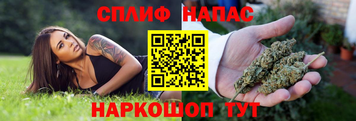 Каннабис LSD WEED  Вход с VPN  Сокол  Канабис марихуана  Каннабис сатива  Марихуана Ganja 
